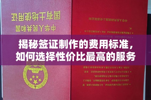 水富揭秘签证制作的费用标准，如何选择性价比最高的服务？